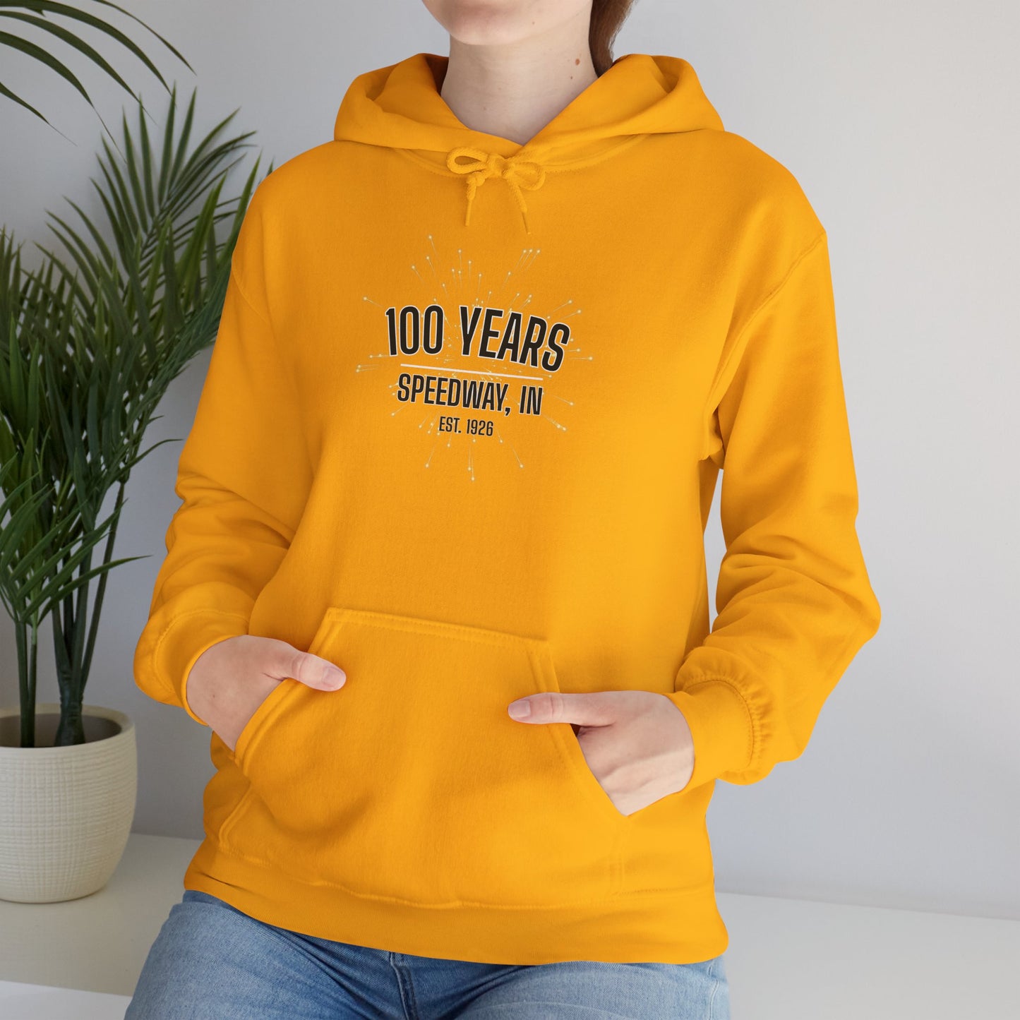 Adult 100th Anniversary - Speedway Firework Hoodie