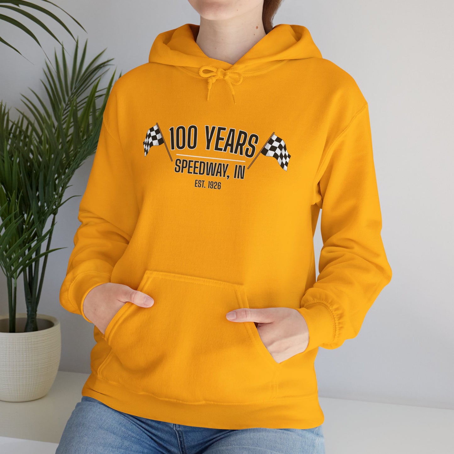 Adult 100th Anniversary - Speedway Flag Hoodie