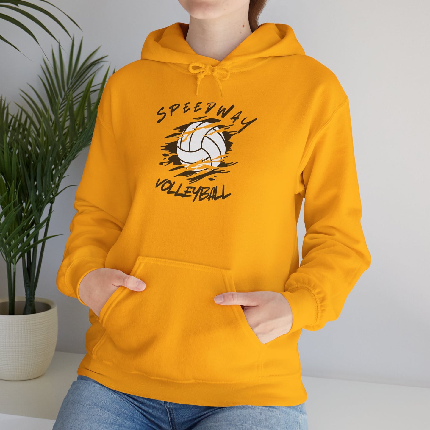 Speedway Volleyball Hoodie